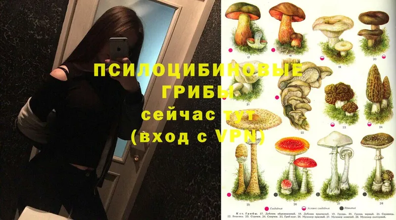 Галлюциногенные грибы GOLDEN TEACHER  OMG как зайти  Сорск 